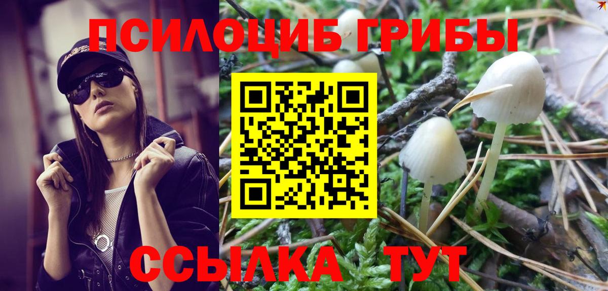 Галлюциногенные грибы прущие грибы Лобня